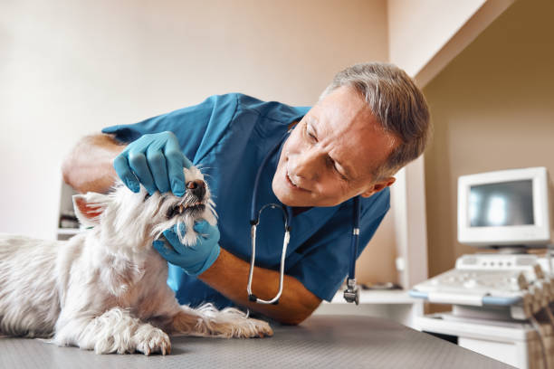Best Emergency Tooth Extraction in Cold Spring, KY